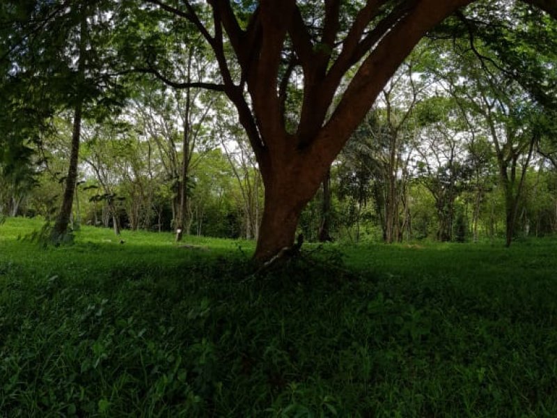 Terreno à venda São Pedro com 925m² e 1 quarto por R$ 690.000 - 1410701326-whatsapp-image-2019-01-17-at-11.jpeg