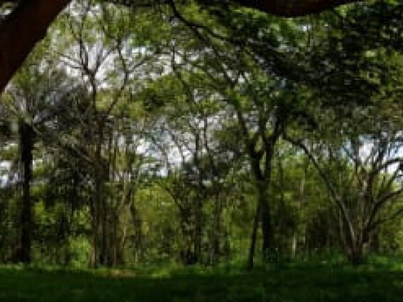 Terreno à venda São Pedro com 925m² e 1 quarto por R$ 690.000 - 1539254341-whatsapp-image-2019-01-17-at-11.jpeg