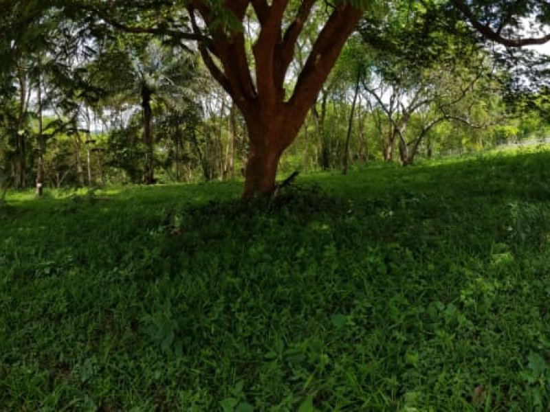 imóvel com 960m² - São Pedro - Camaragibe