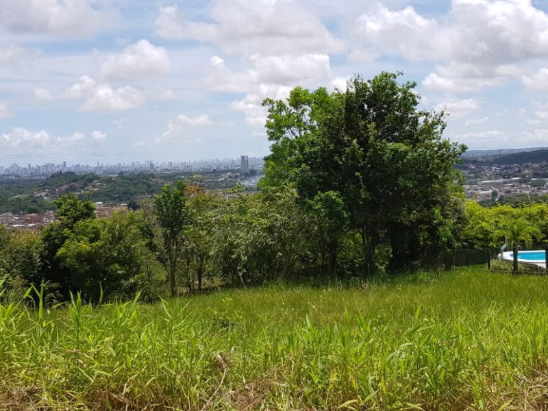 Terreno à venda São Pedro com 925m² e 1 quarto por R$ 690.000 - 2103654912-whatsapp-image-2019-01-17-at-11.jpeg