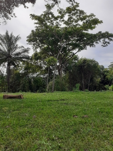 Terreno à venda São Pedro com 925m² e 1 quarto por R$ 690.000 - 237728990-20230115-141506-magic.jpg