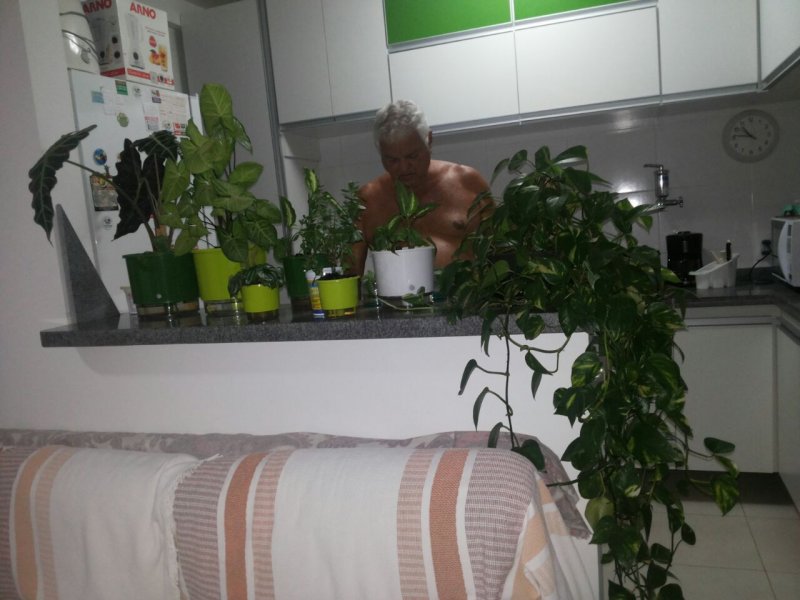 Apartamento à venda Samambaia Sul com 61m² e 2 quartos por R$ 220.000 - 1472384025-527.jpg