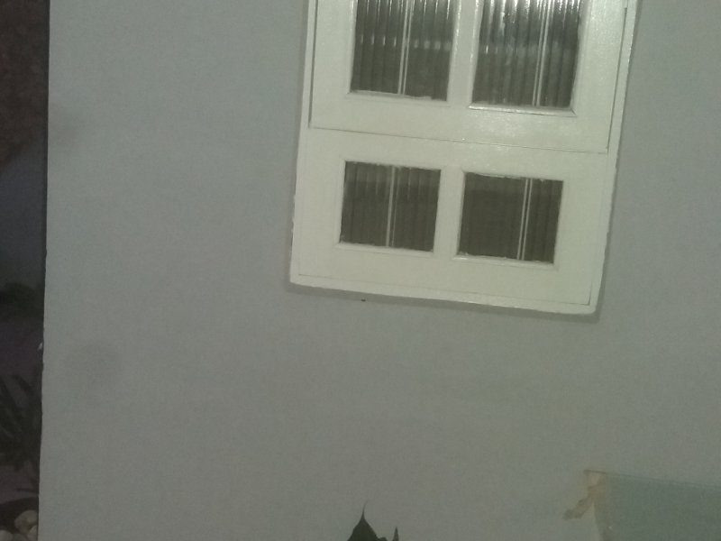 Casa à venda Mato Grande com 182m² e 4 quartos por R$ 490.000 - 1570768710-20190116-204327.jpg