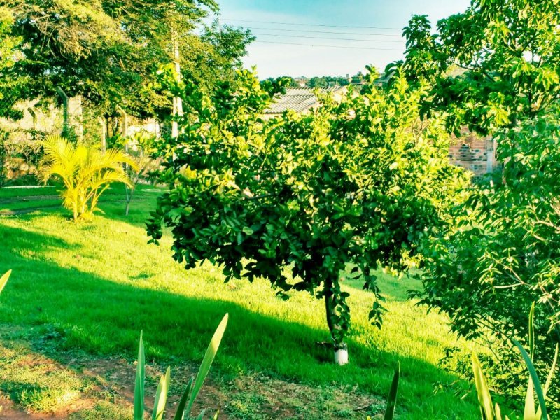 Chácara à venda Jardim Gargantilha com 180m² e 2 quartos por R$ 450.000 - 1155704367-chac8-2018.jpg