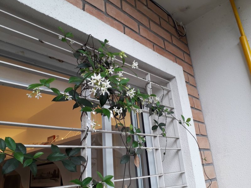 Casa à venda Campo Belo com 80m² e 2 quartos por R$ 888.000 - 218204054-20181026-112043.jpg