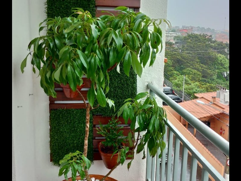 Apartamento à venda Jardim Nova Cotia com 49m² e 2 quartos por R$ 220.000 - 832320310-img-20181025-wa0006.jpg