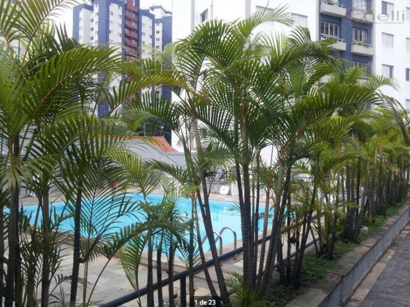 Apartamento à venda Butantã com 76m² e 2 quartos por R$ 290.000 - 343194697-casa1-3.png