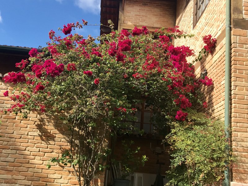 Casa à venda Olaria com 400m² e 4 quartos por R$ 1.500.000 - 1783797946-img-6126.jpg