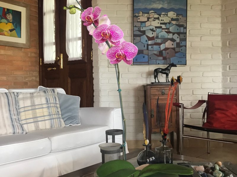 Casa à venda Olaria com 400m² e 4 quartos por R$ 1.500.000 - 884601232-img-2902-1.JPG