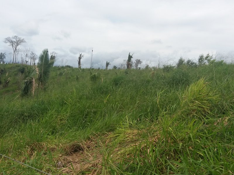 Fazenda à venda Zona rural  com 60000000m² e 2 quartos por R$ 100.000.000 - 1539282599-20180430-143514.jpg