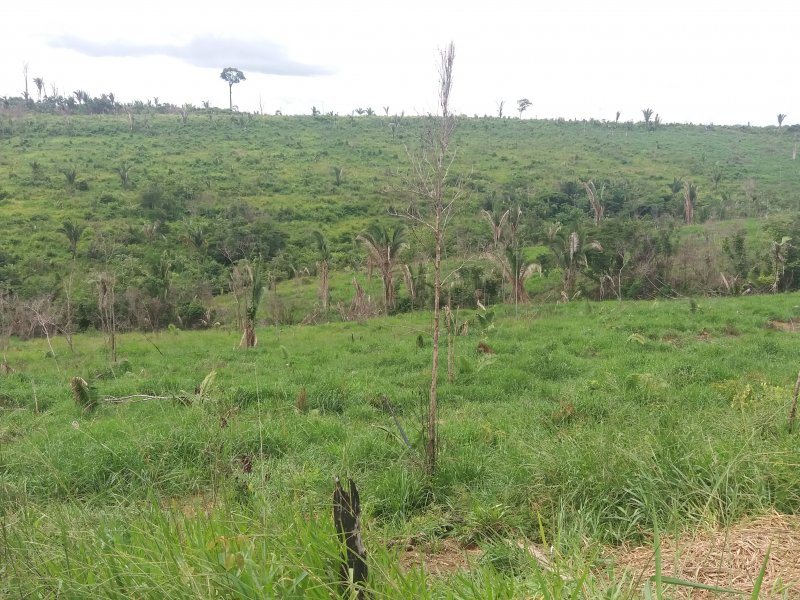 Fazenda à venda Zona rural  com 60000000m² e 2 quartos por R$ 100.000.000 - 2035780184-20180430-143505.jpg