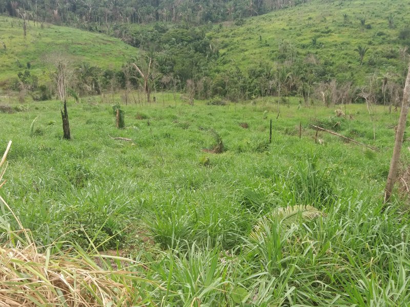 Fazenda à venda Zona rural  com 60000000m² e 2 quartos por R$ 100.000.000 - 2107415012-20180430-143448.jpg