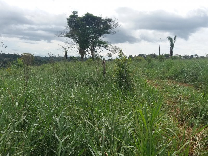 Fazenda à venda Zona rural  com 60000000m² e 2 quartos por R$ 100.000.000 - 332096407-20180430-142251.jpg