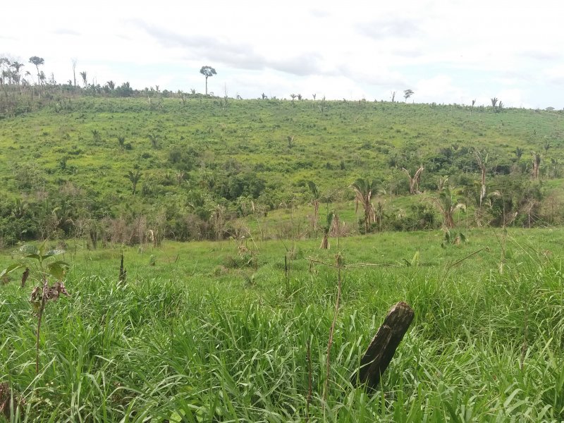 Fazenda à venda Zona rural  com 60000000m² e 2 quartos por R$ 100.000.000 - 445046232-20180430-142949.jpg