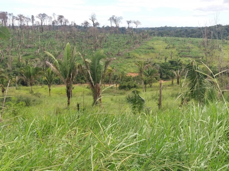 Fazenda à venda Zona rural  com 60000000m² e 2 quartos por R$ 100.000.000 - 560976556-20180430-142540.jpg