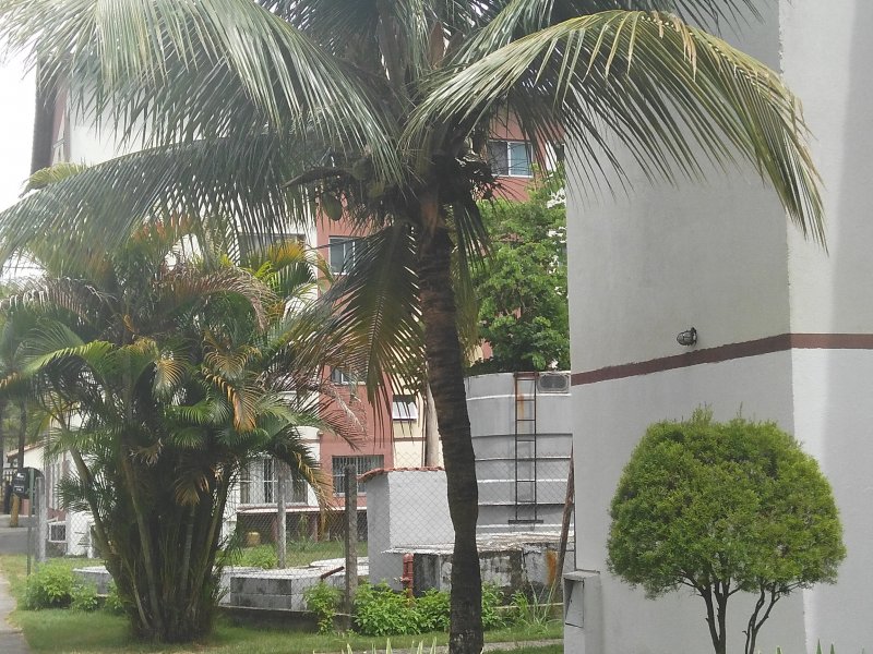 Apartamento à venda Campo Grande com 48m² e 2 quartos por R$ 125.000 - 1458454633-img-20190204-114314.jpg