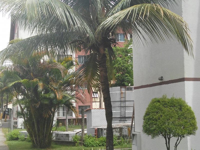 Apartamento à venda Campo Grande com 48m² e 2 quartos por R$ 125.000 - 965038560-img-20190204-114311.jpg