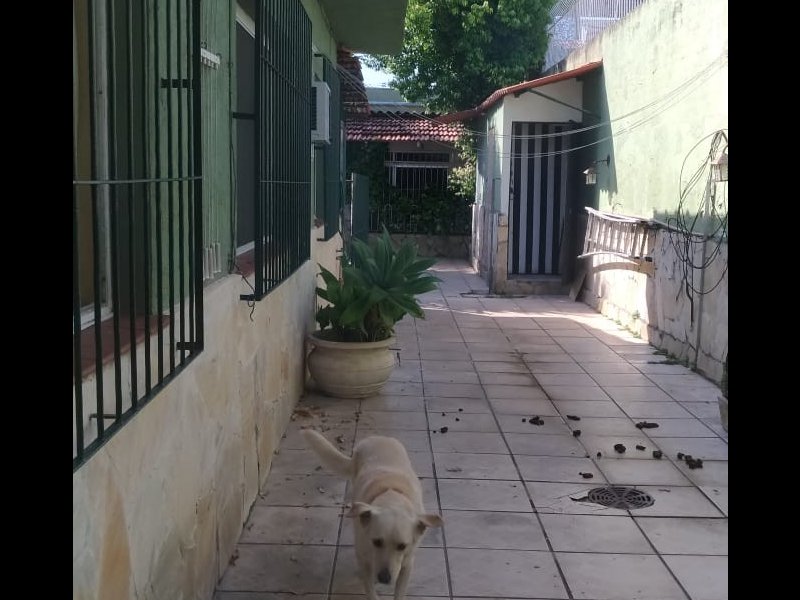 Casa à venda Ipanema com 450m² e 5 quartos por R$ 910.000 - 2003936296-1f2cb20e-eeea-4144-a9de-e0cc848bda38.jpeg