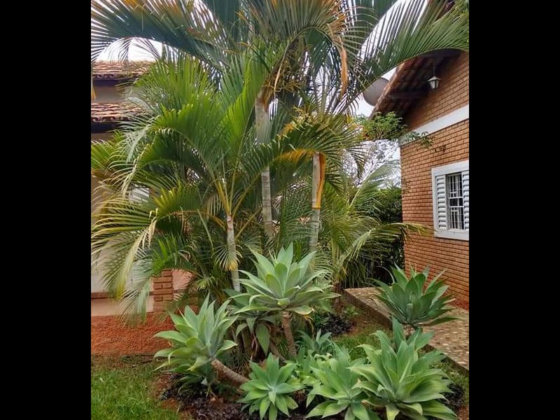Chacara à venda Setor Central com 1008m² e 3 quartos por R$ 420.000 - 602792497-file6.jpeg