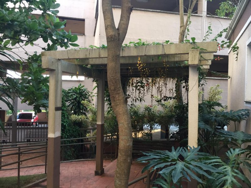 Apartamento à venda Jardim Lallo com 47m² e 2 quartos por R$ 280.000 - 1994075582-img-20181218-wa0020.jpg