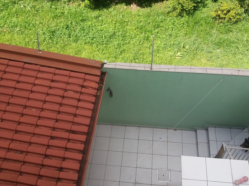 Casa de condomínio à venda Vila Antônio com 241m² e 3 quartos por R$ 910.000 - 1874490148-20170331-103954.jpg