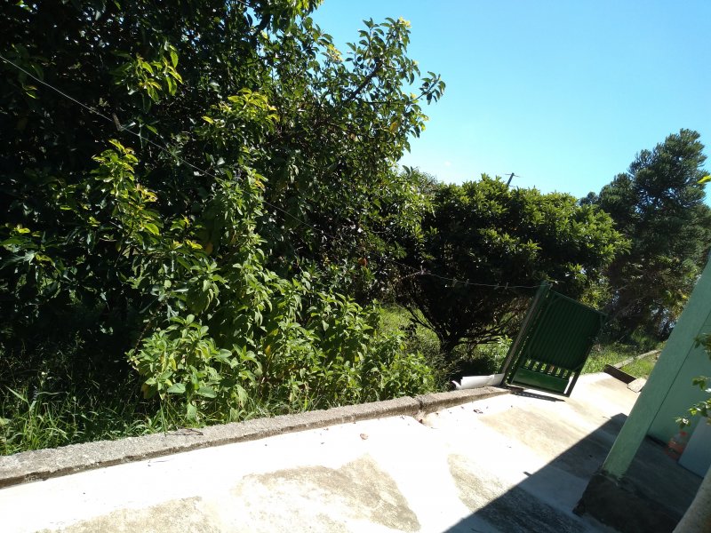 Chácara à venda Petróleo com 1000m² e 2 quartos por R$ 180.000 - 1020559371-img-20190129-114022011.jpg