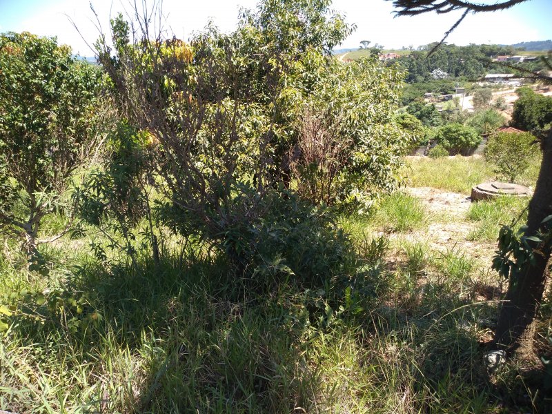 Chácara à venda Petróleo com 1000m² e 2 quartos por R$ 180.000 - 1036681945-img-20190129-114208510.jpg