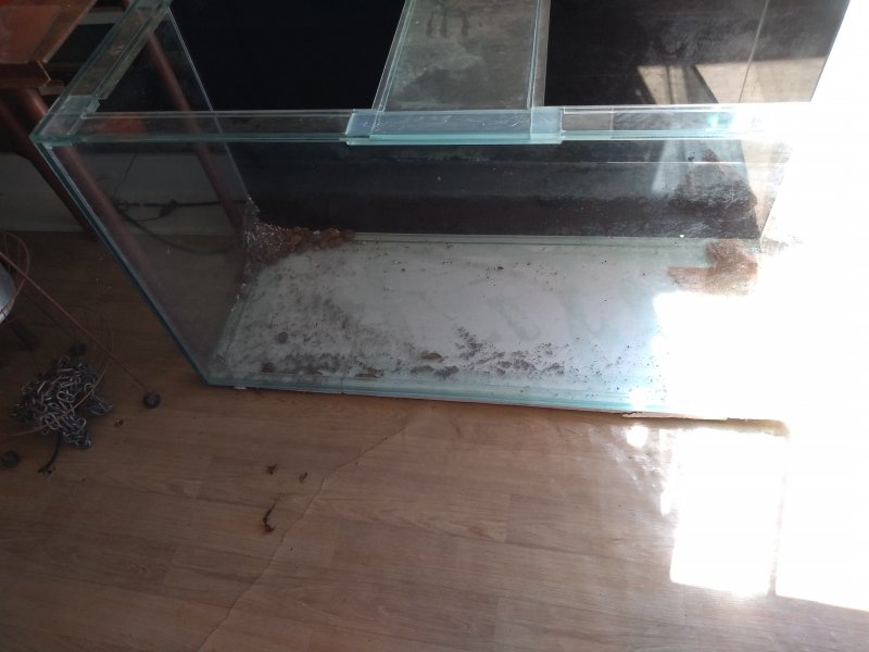 Chácara à venda Petróleo com 1000m² e 2 quartos por R$ 180.000 - 359583555-img-20190129-105624456.jpg