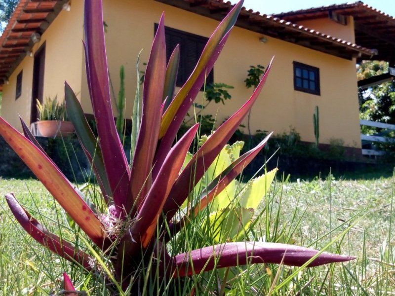 Chácara para alugar Casa de Campo com 5m² e 1 quarto por R$ 210.000 - 180234440-img-20190130-wa0075.jpg