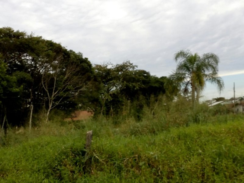 imóvel com 649m² - Praia do Ervino - São Francisco do Sul
