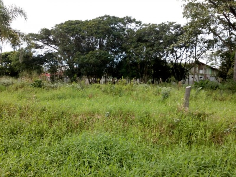 imóvel com 649m² - Praia do Ervino - São Francisco do Sul