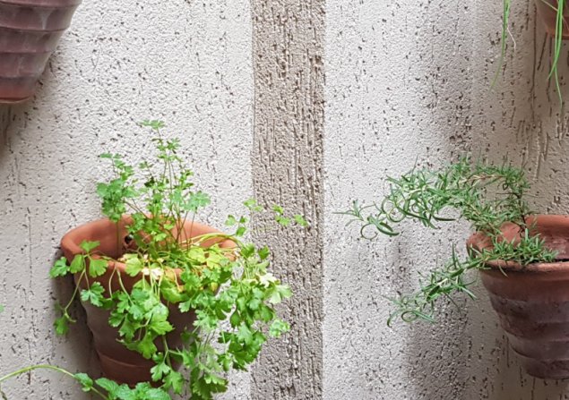 imóvel com 280m²