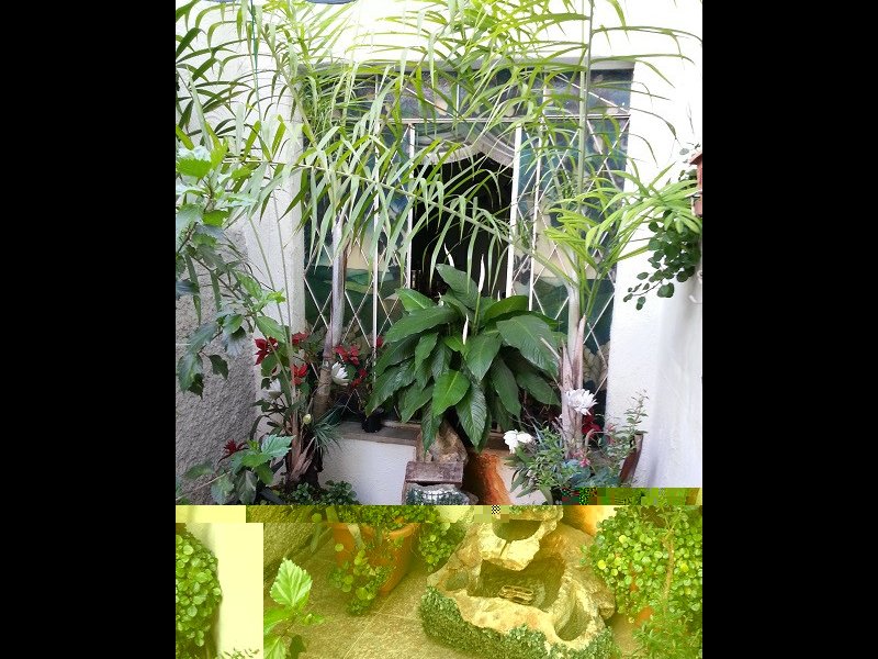 Casa à venda Santana com 146m² e 3 quartos por R$ 850.000 - 188103843-2014-11-07-16.jpg