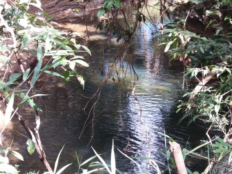 Sítio à venda Zona rural com 17000m² e 5 quartos por R$ 850.000 - 1336335699-20180601-112038.jpg