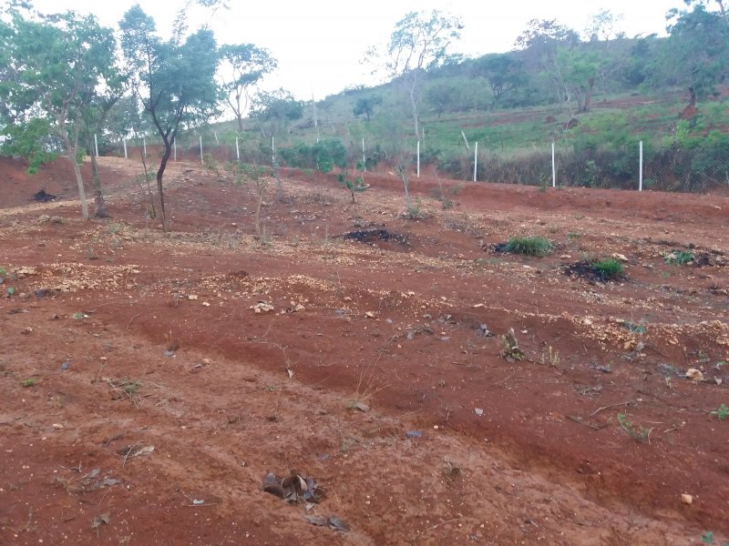 Sítio à venda Zona rural com 17000m² e 5 quartos por R$ 850.000 - 2101155678-20171106-184642.jpg
