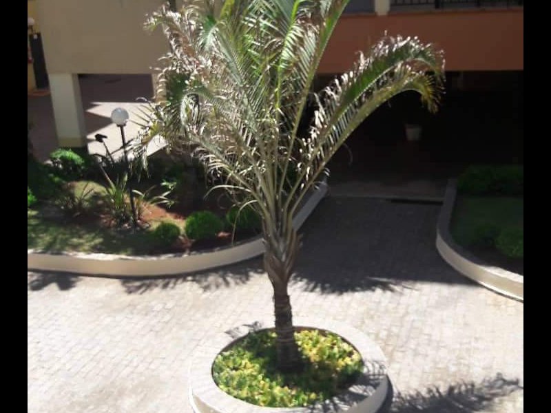 Apartamento à venda Parque Nossa Senhora da Candelaria com 76m² e 2 quartos por R$ 260.000 - 2072917672-received-743449379384537.jpeg