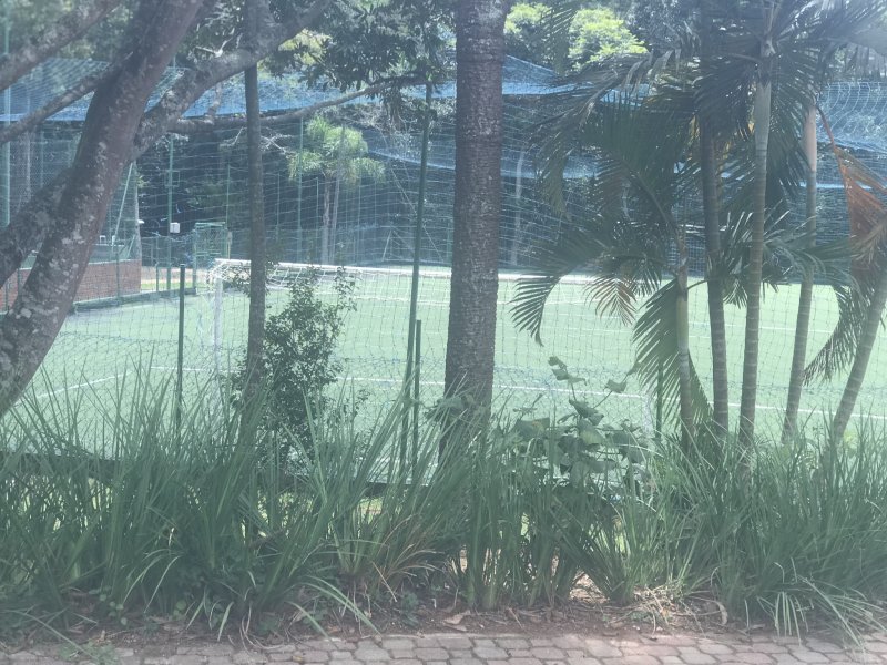 Terreno à venda São João com 568m² e  quartos por R$ 198.000 - 1416901786-5adc07e4-b5a2-46ba-a954-7f48a2ffc7ab.jpeg