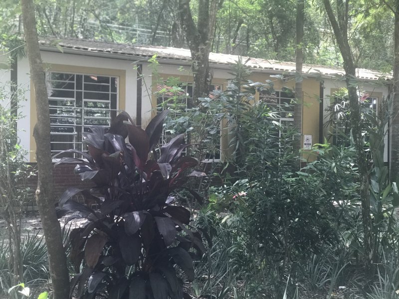 Terreno à venda São João com 568m² e  quartos por R$ 198.000 - 1532887720-4790df86-d4f8-4cf9-8d5a-442ba00928db.jpeg