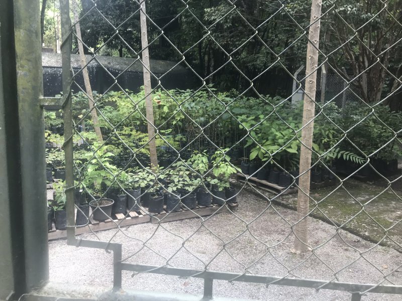 Terreno à venda São João com 568m² e  quartos por R$ 198.000 - 1879897682-d436b86c-ec72-47b2-a93c-afae9f710523.jpeg