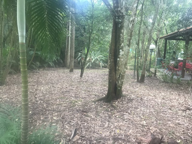 Terreno à venda São João com 568m² e  quartos por R$ 198.000 - 425443123-10511ead-e77f-4384-b816-904f77fe4a47.jpeg