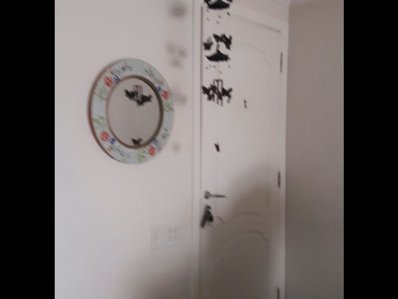 Apartamento à venda Freguesia do Ó com 68m² e 2 quartos por R$ 399.000 - 1987448271-apto-porta-entrada.png