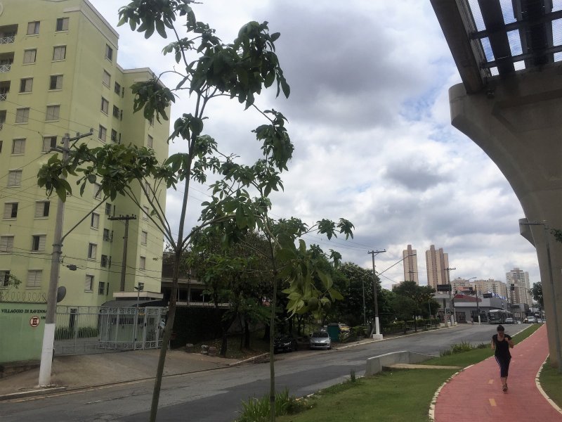 Apartamento à venda Vila Ema com 65m² e 3 quartos por R$ 350.000 - 1834885350-img-0917.JPG
