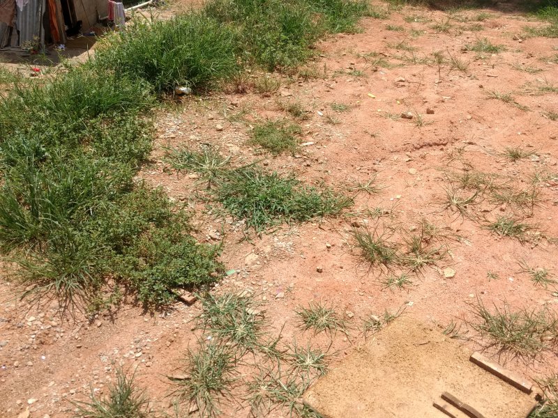 Terreno à venda Vila Nhocune com 1900m² e  quartos por R$ 6.200.000 - 2016342183-img-20190121-144647719.jpg
