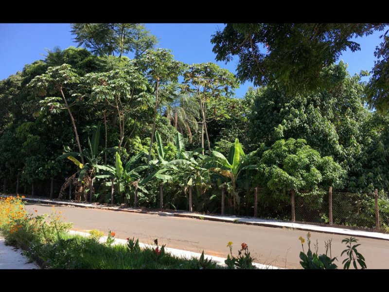 Casa à venda Centro com 310m² e 4 quartos por R$ 800.000 - 653584330-47.jpg