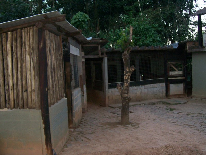 Chácara à venda Outeiro das Paineiras (Botujuru) com 5000m² e 2 quartos por R$ 600.000 - 830294469-100-1420.jpg