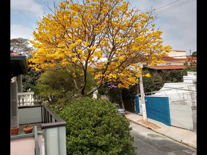 Casa à venda Pompéia com 134m² e 3 quartos por R$ 980.000 - 1582930963-fb-img-1549673435654.jpg