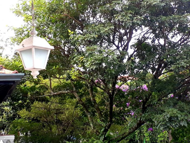 Casa à venda Pompéia com 134m² e 3 quartos por R$ 980.000 - 672141841-fb-img-1549218253823.jpg