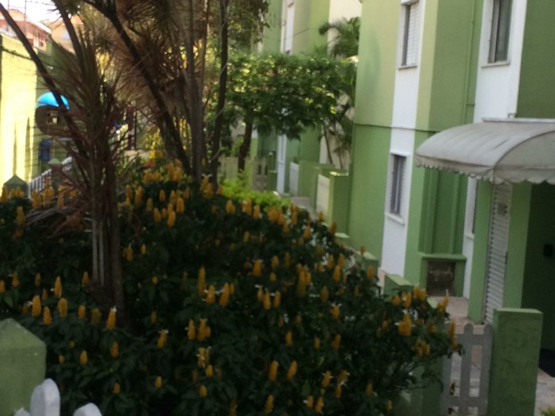imóvel com 55m² - Itaquera - São Paulo