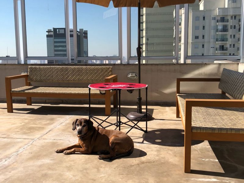 imóvel com 340m² - Santa Cecília - São Paulo