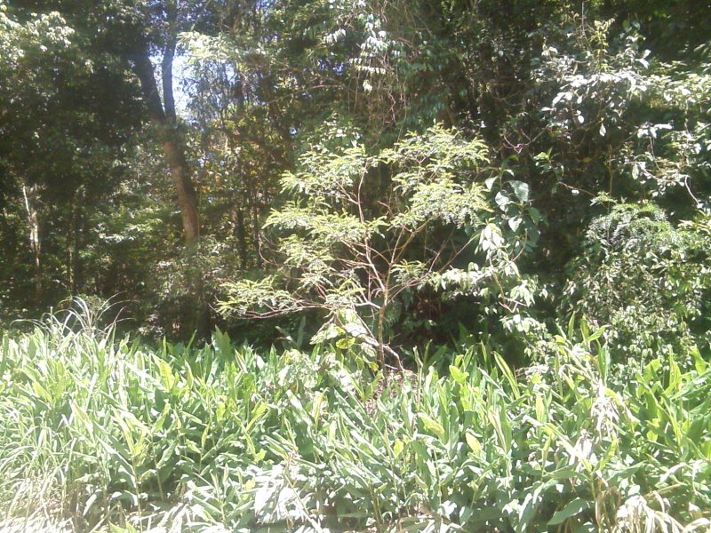 Terreno à venda Estância Alto da Serra com 7911m² e  quartos por R$ 320.000 - 1245413755-20161031-113028.jpg